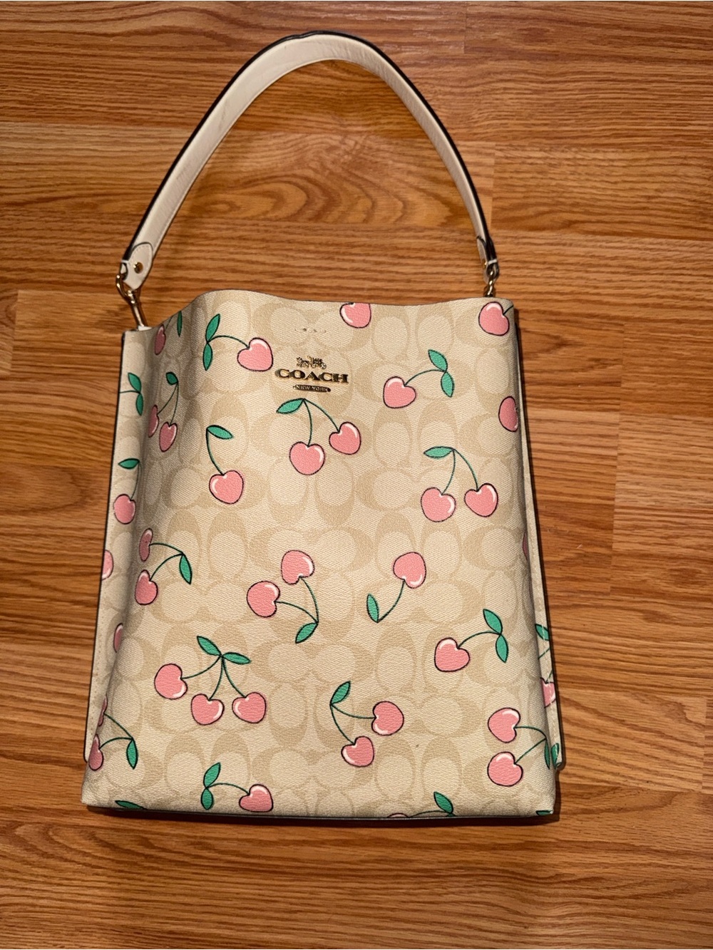 Coach Mollie Bucket Bag in Signature Canvas with Heart Cherry Print